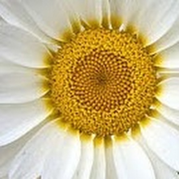 Meet your Posher, A - Picture 1 of 1